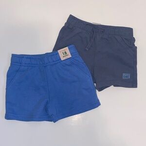 Garanimals Blue and Light Grey Carters Kids Shorts Bundles Set